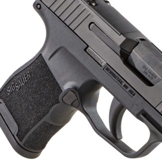 P365-380 - Handguns - Highbridge Armory