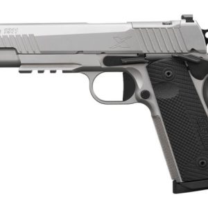 Get 1911-X STAINLESS Online for sale
