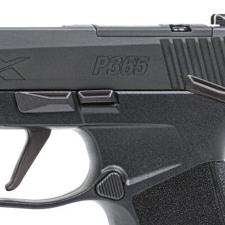 Get P320-XTEN ENDURE COMP Online - Handguns - Highbridge Armory