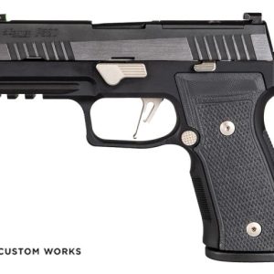 New P320 AXG Equinox for sale