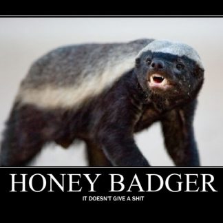 Honey Badger Rifle - HK & SMG - Highbridge Armory